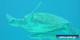 2000-12-30 けらま