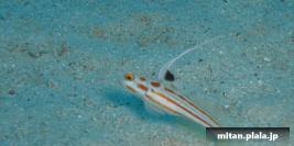 2002-07-06 けらま