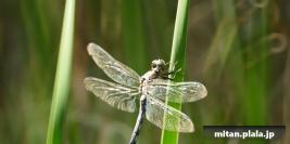 2012-09-15 昭和記念公園