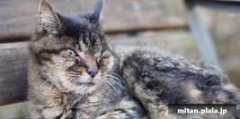 2012-10-20 国立科学博物館付属自然教育園