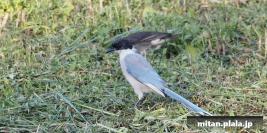 2012-10-13 水元公園