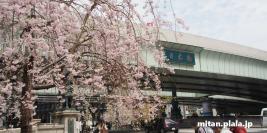 2013-04-01 仙台、日本橋、他