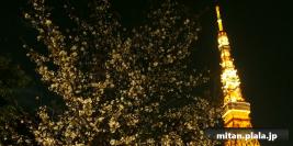 2013-04-04 東京タワー