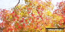 2013-12-04 大手町