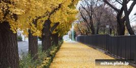 2013-12-11 大手町