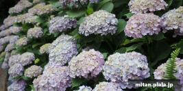 2014-06-04 大手町