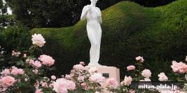 2015-11-01 谷津バラ園、香澄公園