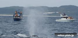 2016-03-12 けらま(陸)