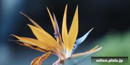 2016-10-02 清水谷公園、檜町公園