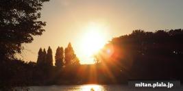 2016-11-05 林試の森公園、洗足池公園