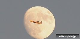 2016-11-12 向島百花園、隅田川