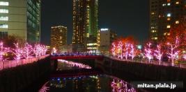 2016-12-05 目黒川イルミネーション