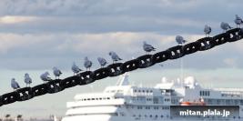 2016-12-23 みなとみらい