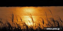 2016-12-24 多摩川