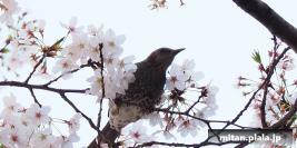 2018-03-31 立会街道