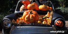 2018-10-21 横浜イングリッシュガーデン、山下公園