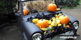 2019-10-20 横浜イングリッシュガーデン