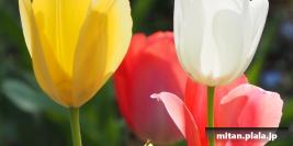 2020-03-22 立会街道