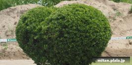 2020-05-10 多摩川