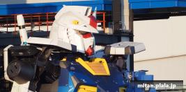 2020-10-31 横浜イングリッシュガーデン、山下公園