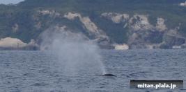 2021-03-20 けらま(陸)、浦添大公園、那覇空港