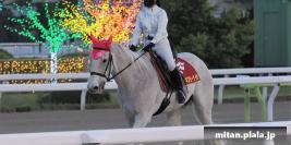 2022-04-10 大井競馬場イルミ