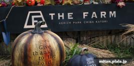 2023-10-20 THE FARMグランピング