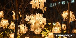 2024-01-19 大手町