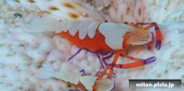 2024-03-09 けらま