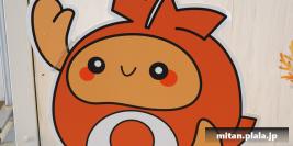 2025-03-15 けらま(陸)